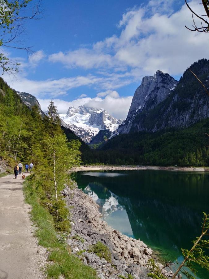 Wohlfühlapartment Dachsteinblick Bad Goisern am Hallstättersee Exterior foto