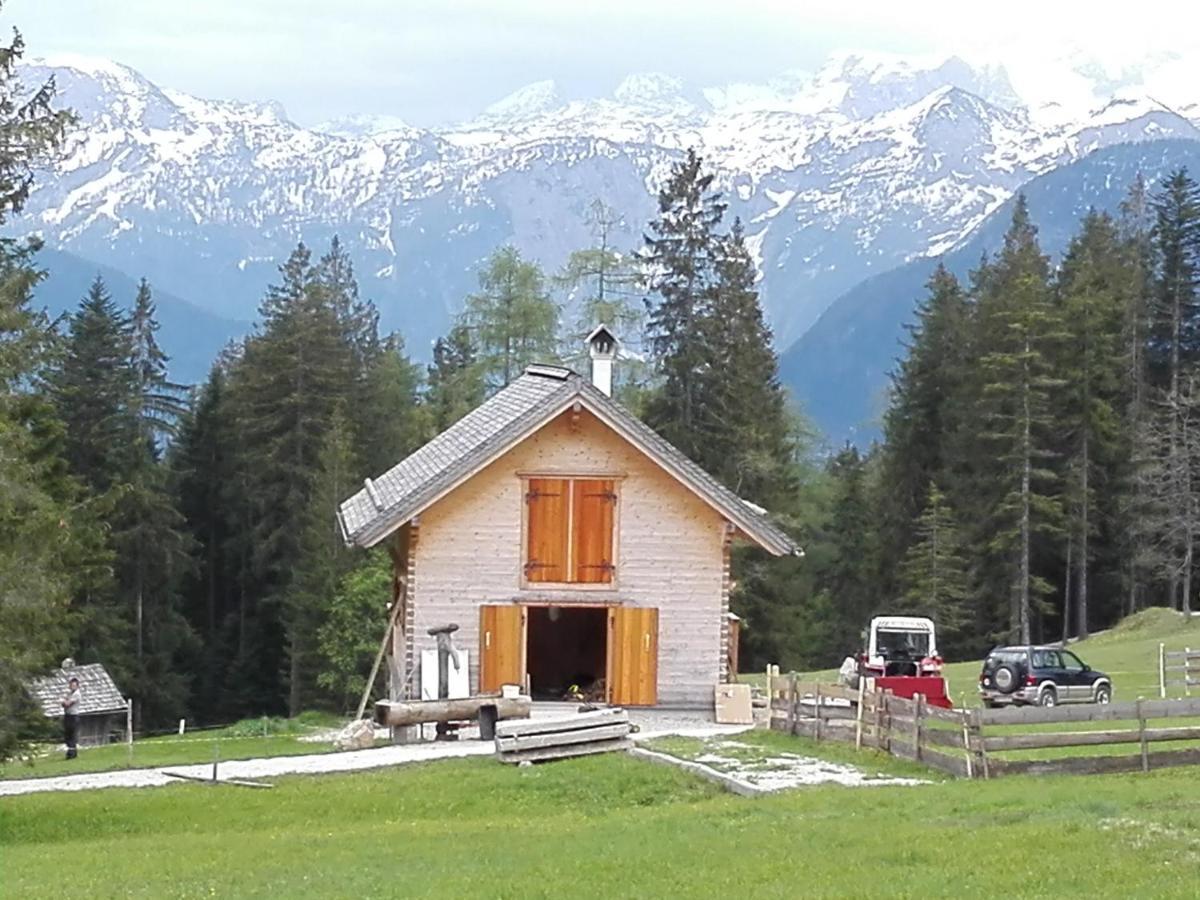 Wohlfühlapartment Dachsteinblick Bad Goisern am Hallstättersee Exterior foto