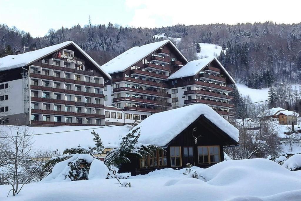 Wohlfühlapartment Dachsteinblick Bad Goisern am Hallstättersee Exterior foto